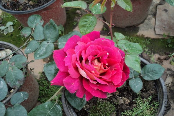 ��Ƭ 124_������С.jpg