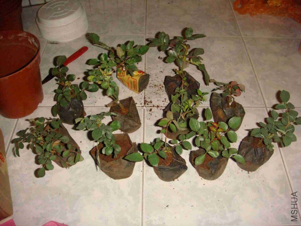nEO_IMG_nEO_IMG_DSC04893.jpg