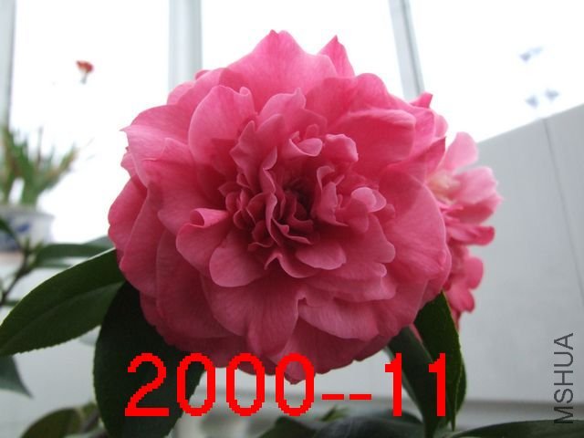 ���꿪�Ļ���