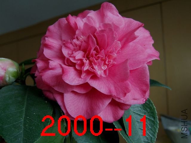 ����ڶ��ο����Ļ���