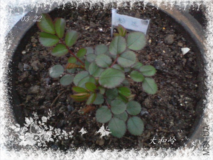 ��Ƭ-0009_����.jpg