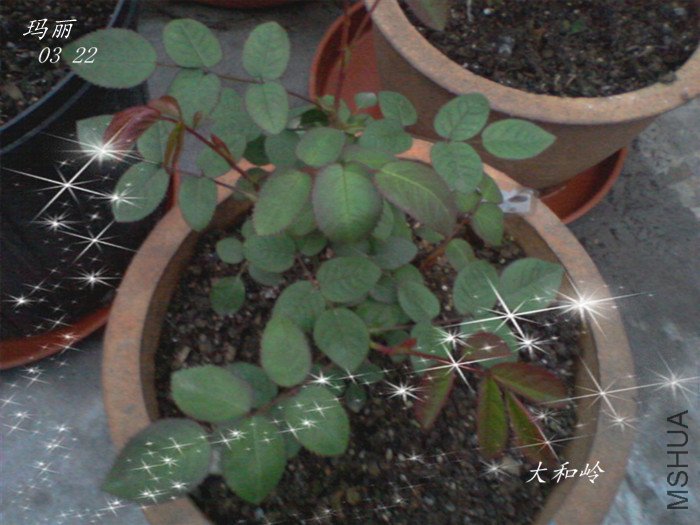��Ƭ-0012_����_����.jpg