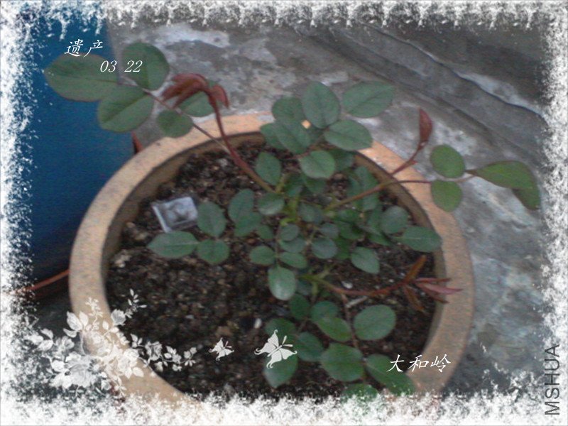 ��Ƭ-0013_����.jpg