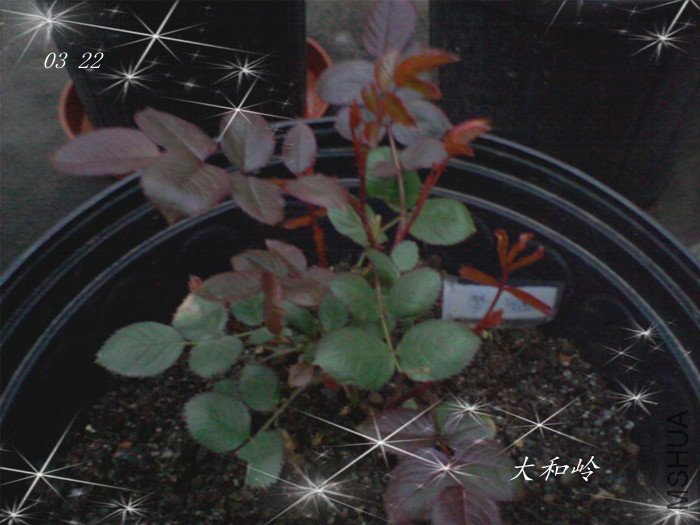 ��Ƭ-0014_����.jpg