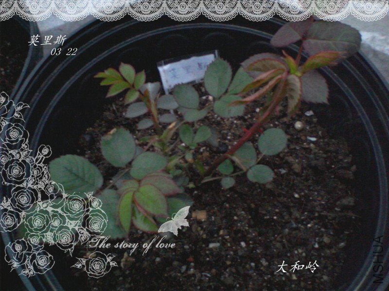 ��Ƭ-0017_����.jpg