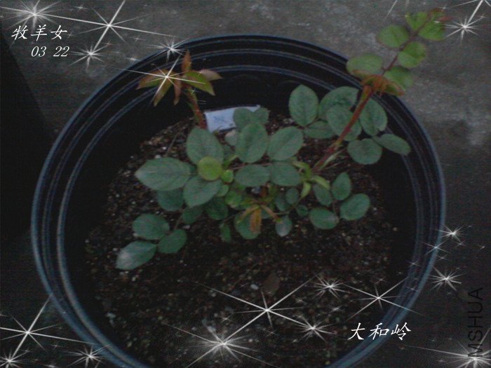 ��Ƭ-0019_����_����.jpg