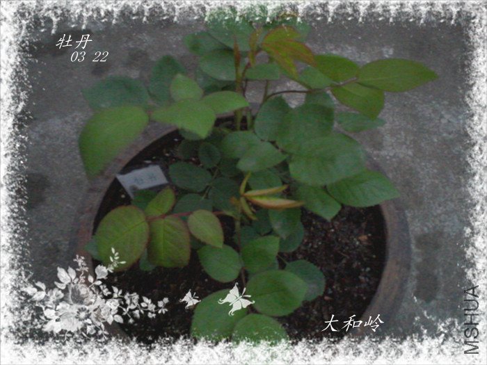 ��Ƭ-0020_����.jpg