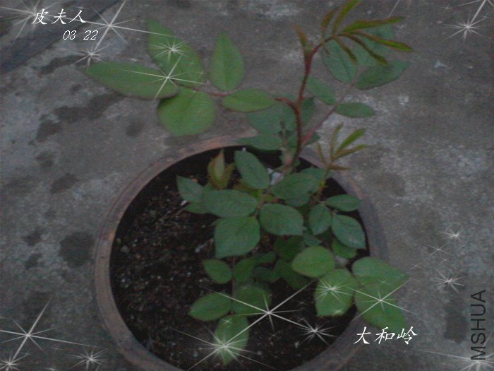 ��Ƭ-0021_����.jpg