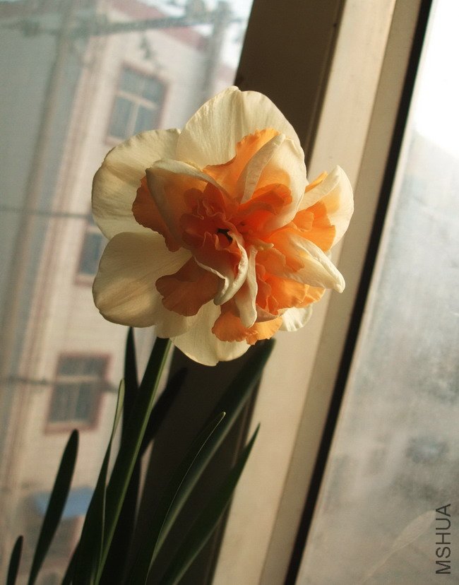 DSCF4237.jpg