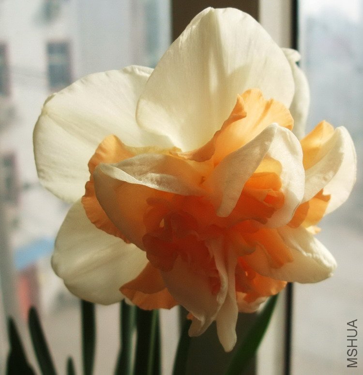 DSCF4249.jpg