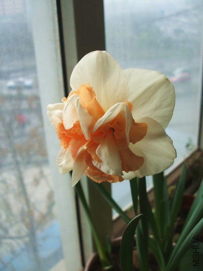 DSCF4229.jpg