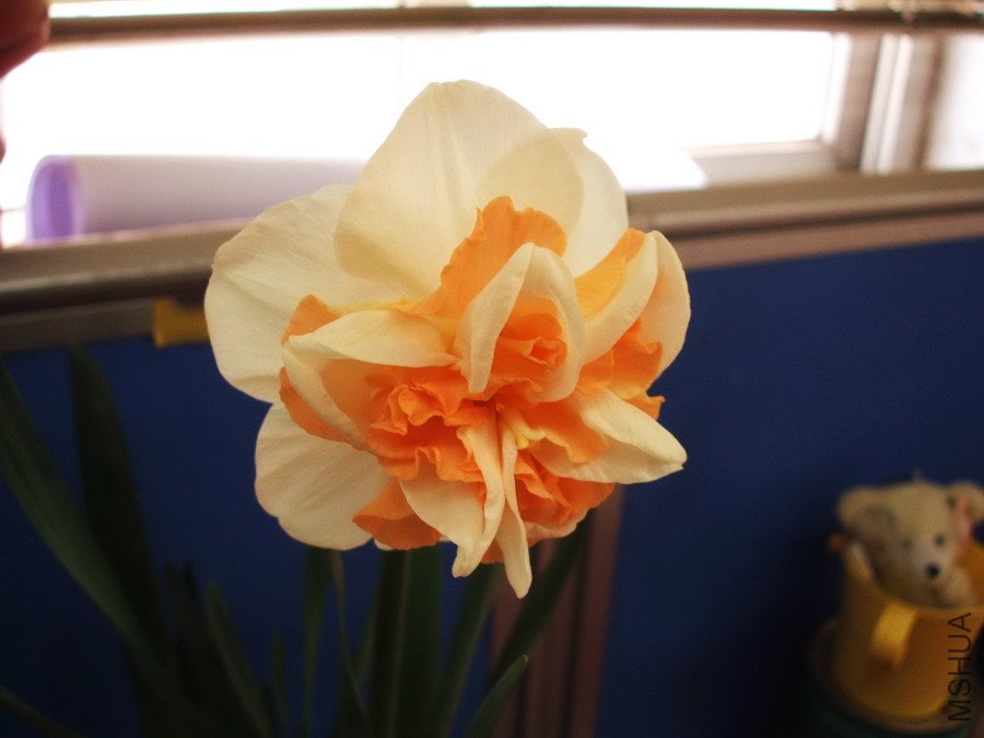 DSCF4241.jpg