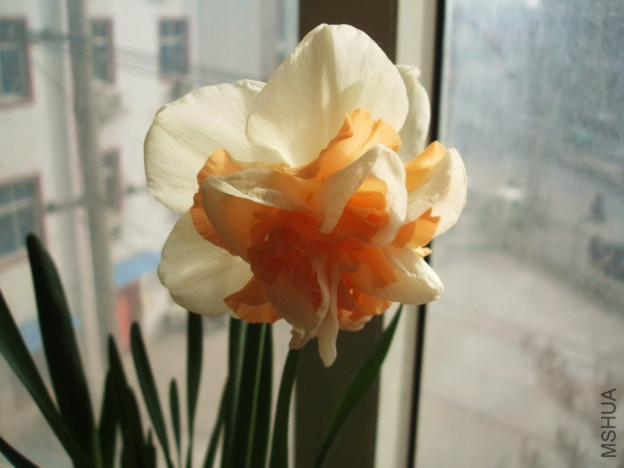 DSCF4248.jpg
