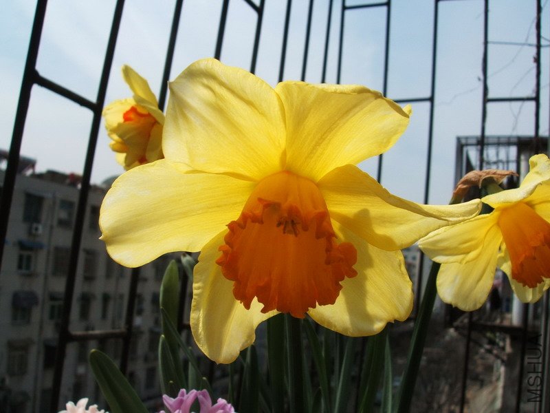 DSCF4258.jpg