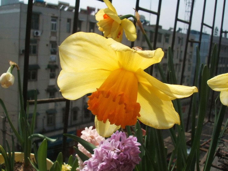 DSCF4256.jpg