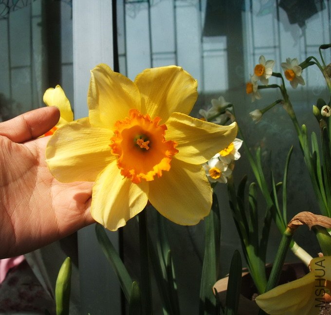 DSCF4346.jpg