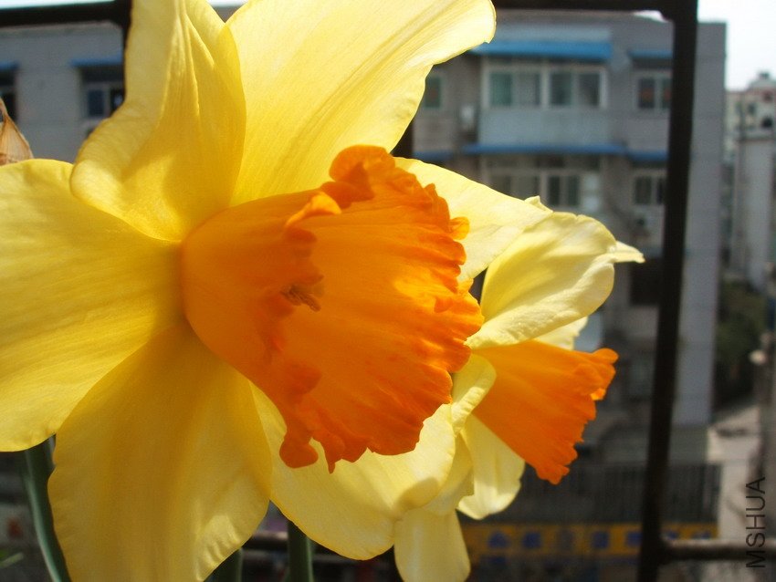 DSCF4290.jpg
