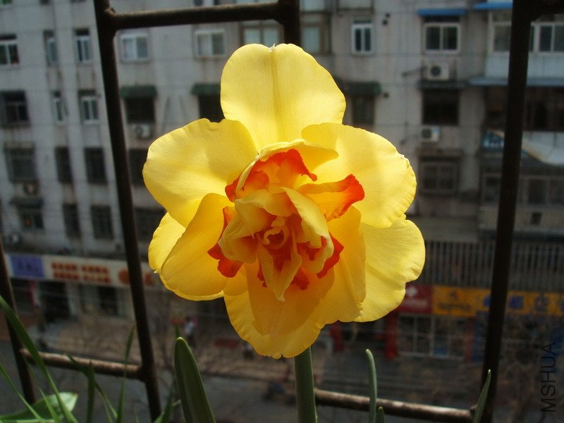 DSCF4286.jpg