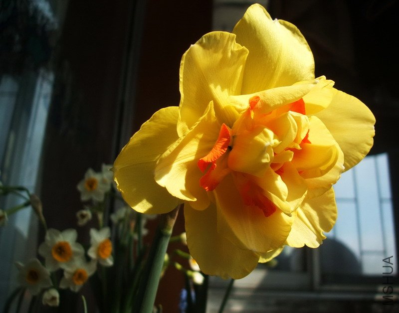 DSCF4337.jpg
