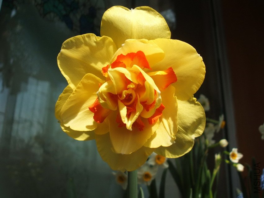 DSCF4333.jpg