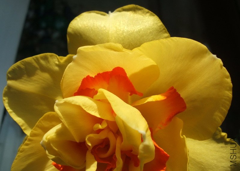 DSCF4338sdf.jpg