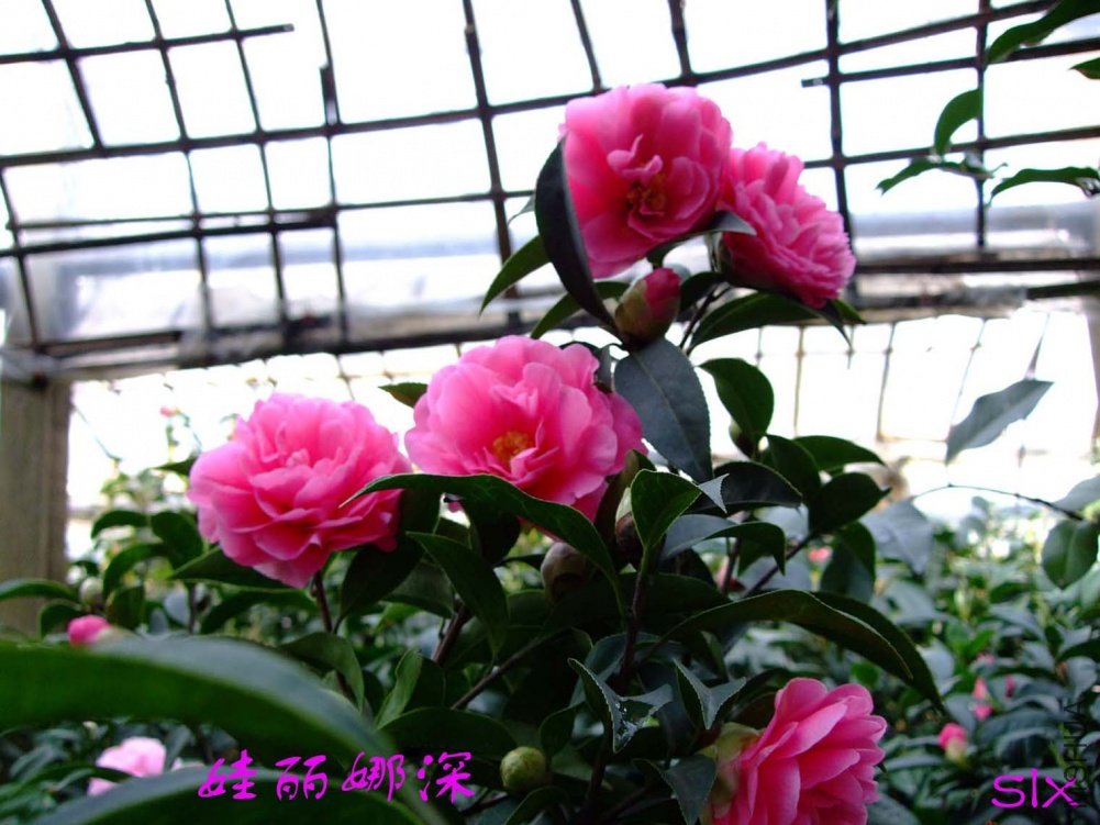 ��������11-3-23f (3).jpg