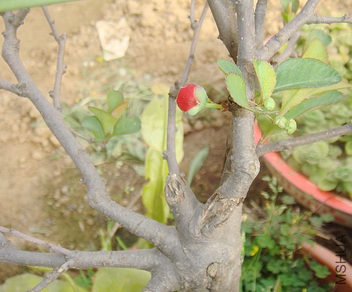 DSC08079.JPG