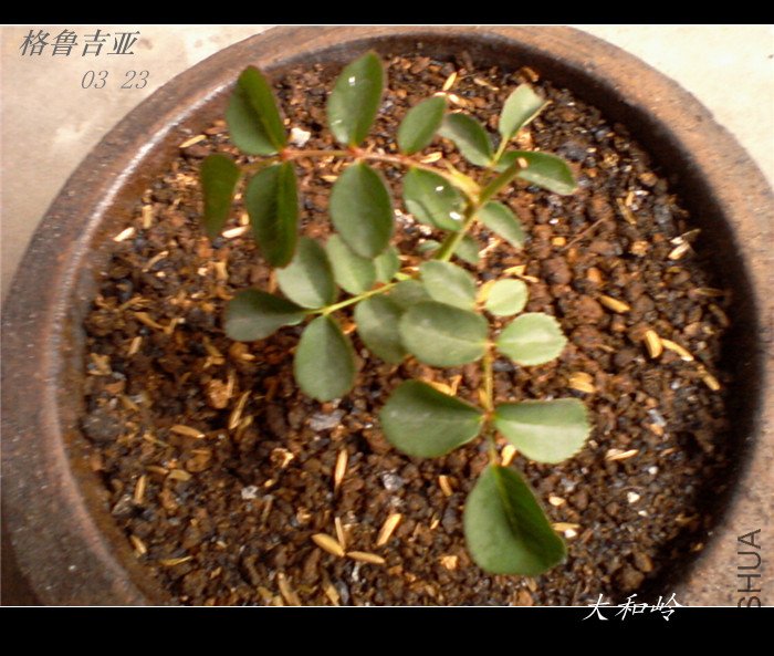 ��Ƭ-0002_����-����.jpg