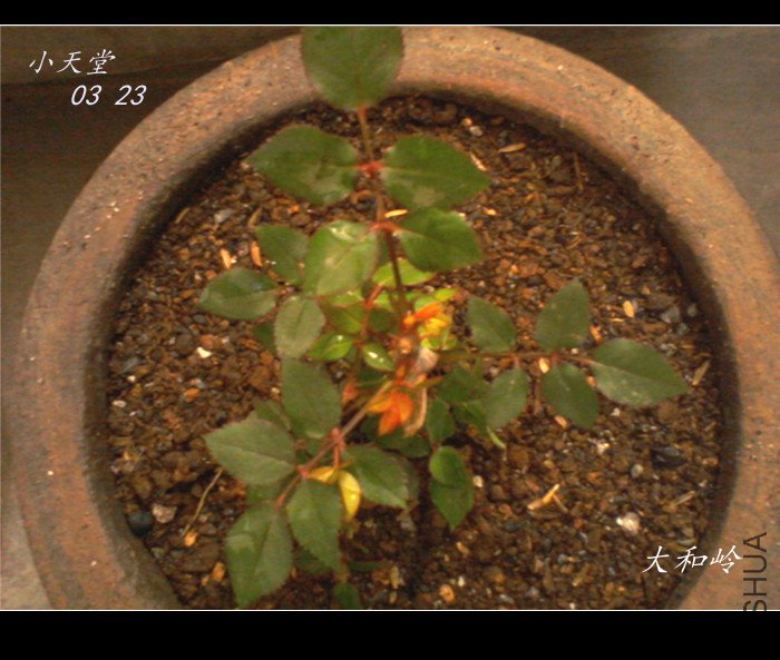 ��Ƭ-0006_����-.jpg