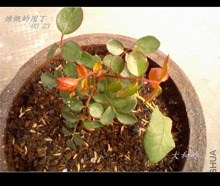 ��Ƭ-0013_����.jpg