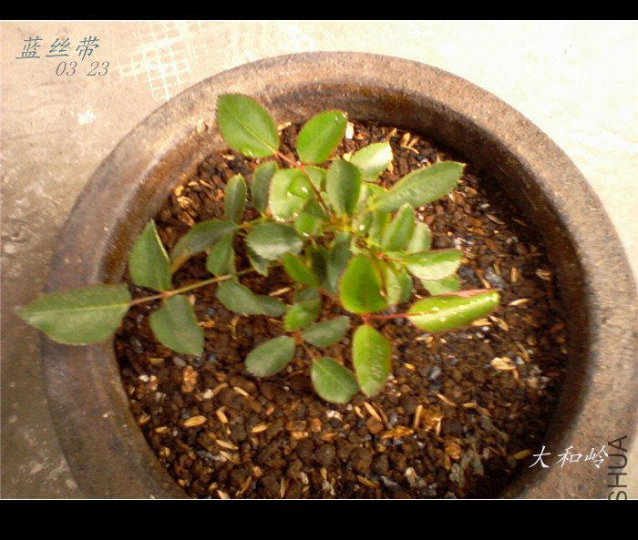 ��Ƭ-0012_����.jpg