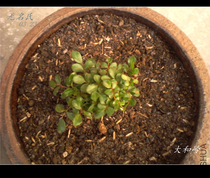 ��Ƭ-0011_����.jpg