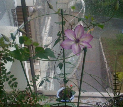 �ҵ����а�