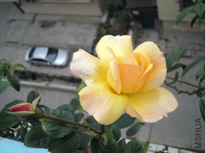 ��Ƭ 046_������С.jpg