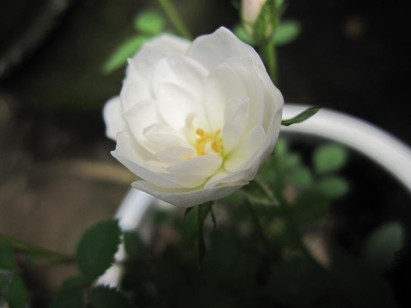 ��Ƭ 030.jpg