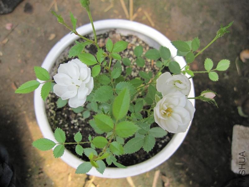 ��Ƭ 028.jpg