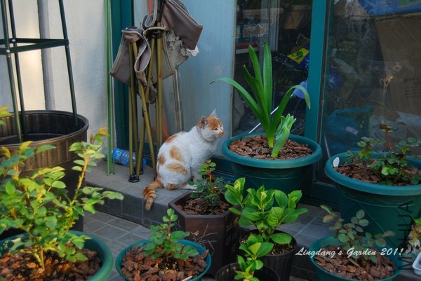 DSC_2737.jpg