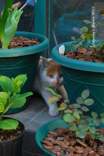 DSC_2741.jpg
