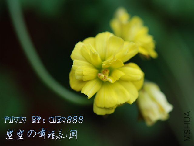 20110325.jpg