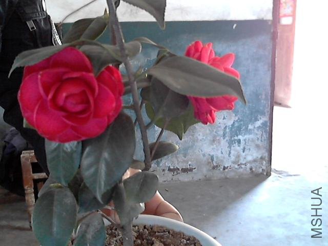 ͼƬ 006.jpg