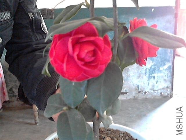 ͼƬ 005.jpg