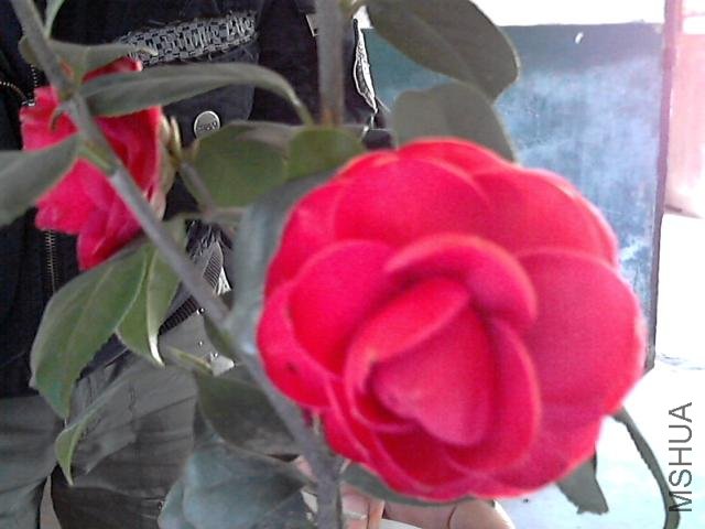 ͼƬ 004.jpg