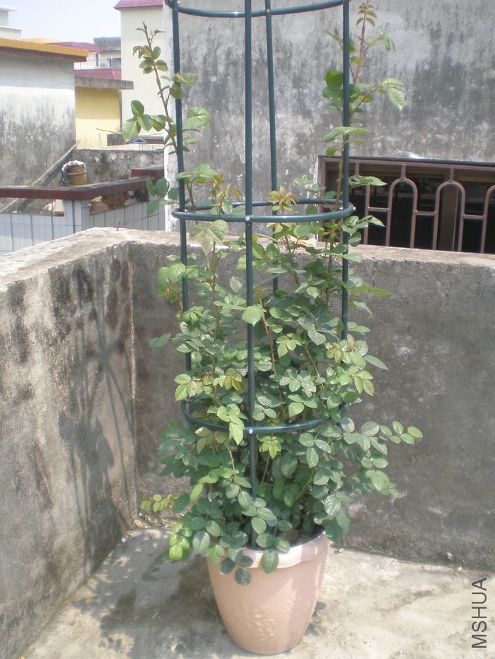 P1010469.JPG