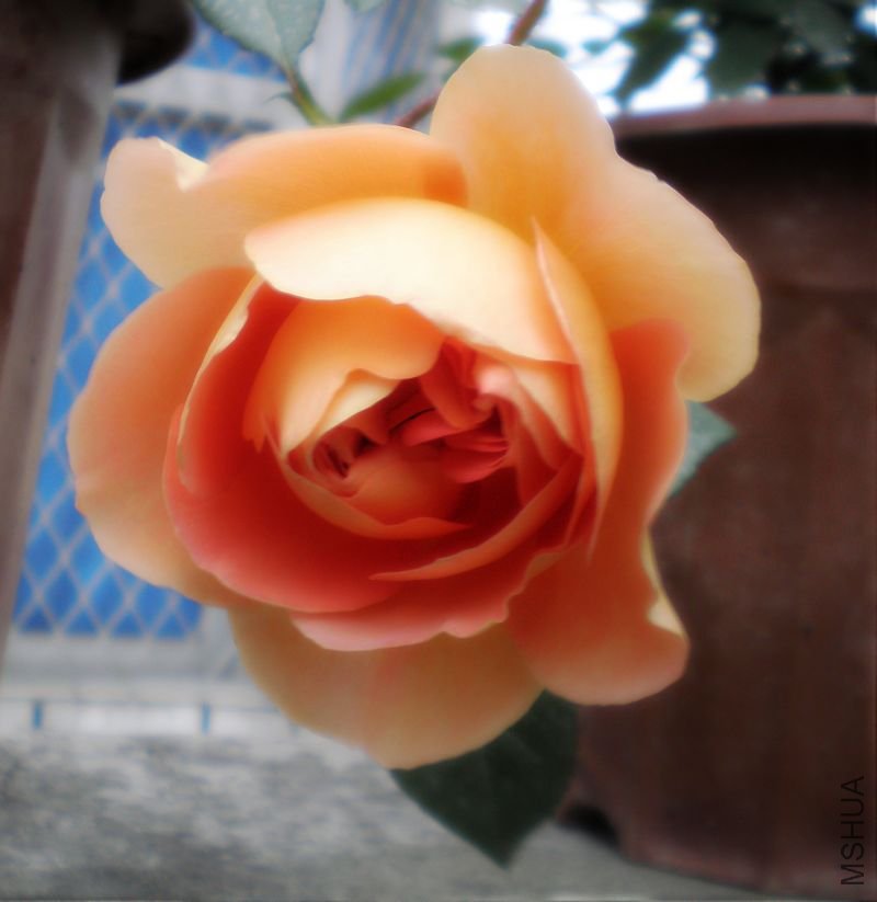 P1010423.JPG
