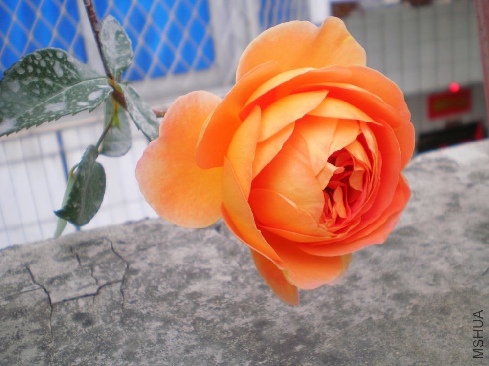 P1010416.JPG
