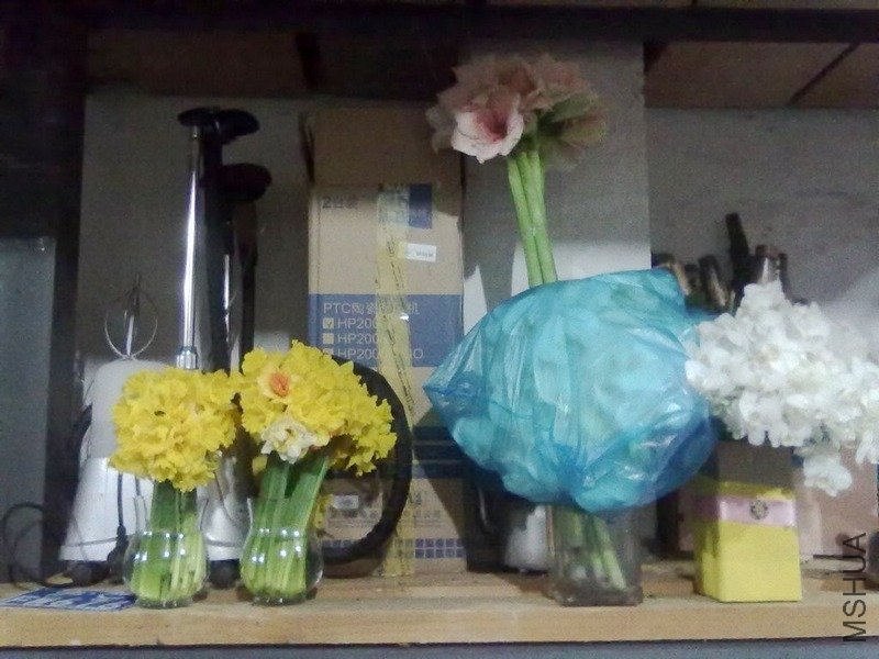 20110302041.jpg