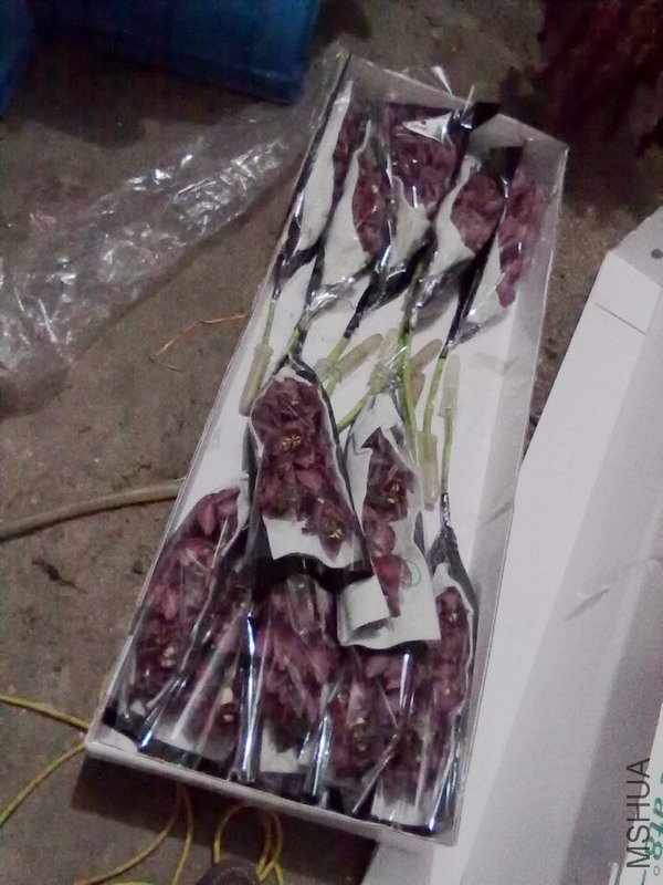 20110325045.jpg