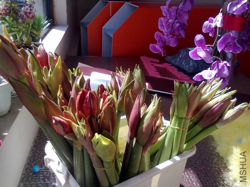 20110325042.jpg