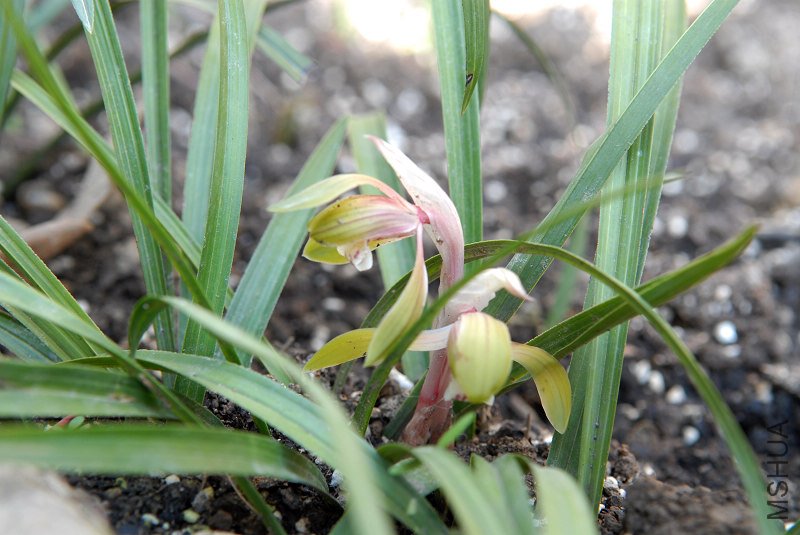 ����һ��������Ʒ��