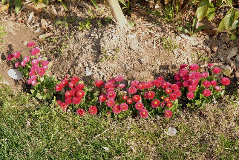 ���С������С����ô������